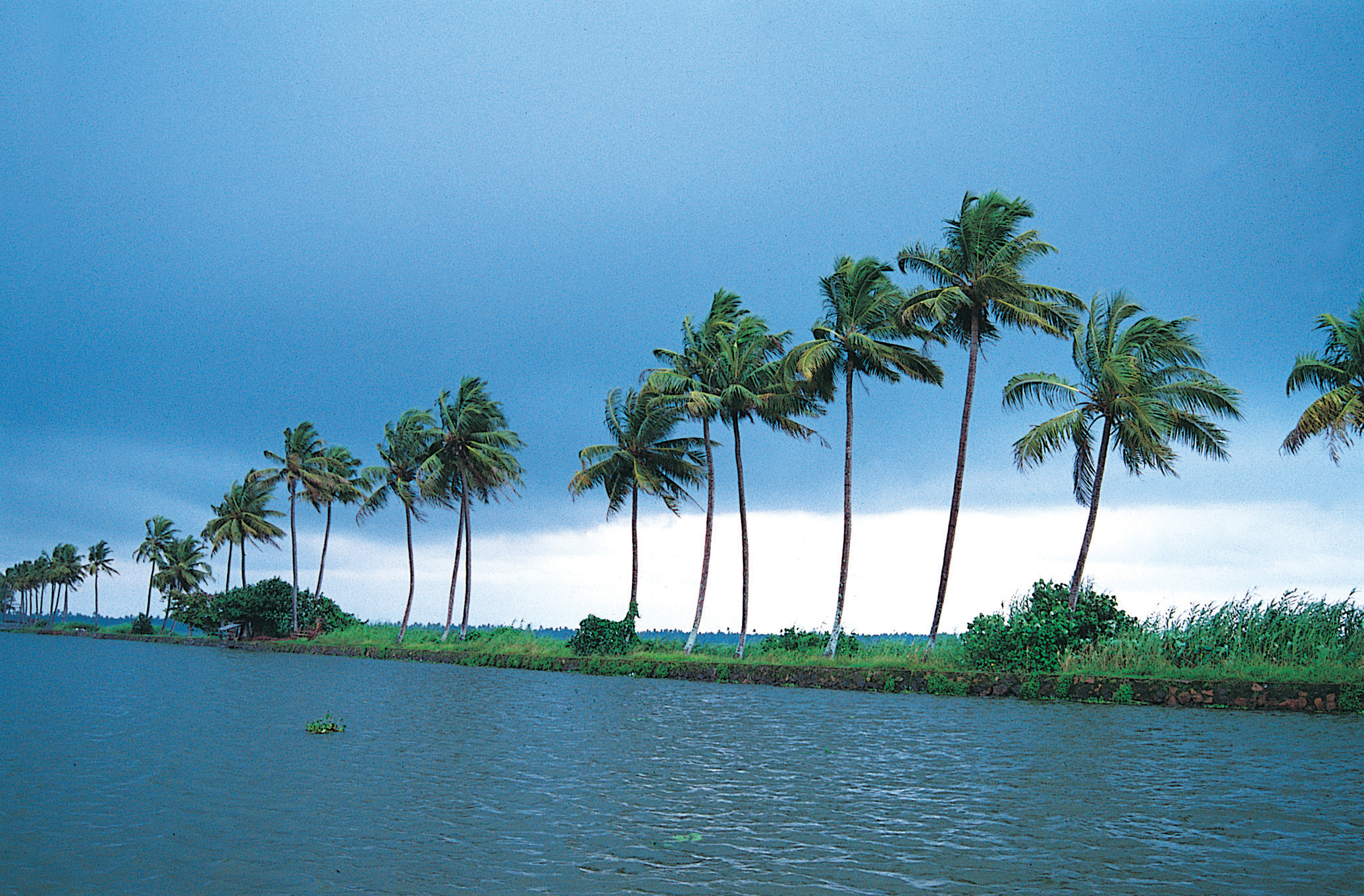 Kerala & Lakshadweep & Maldives